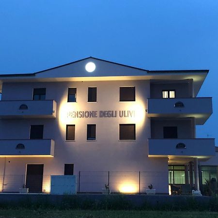 Pensione Degli Ulivi Porto SantʼElpidio Exteriör bild