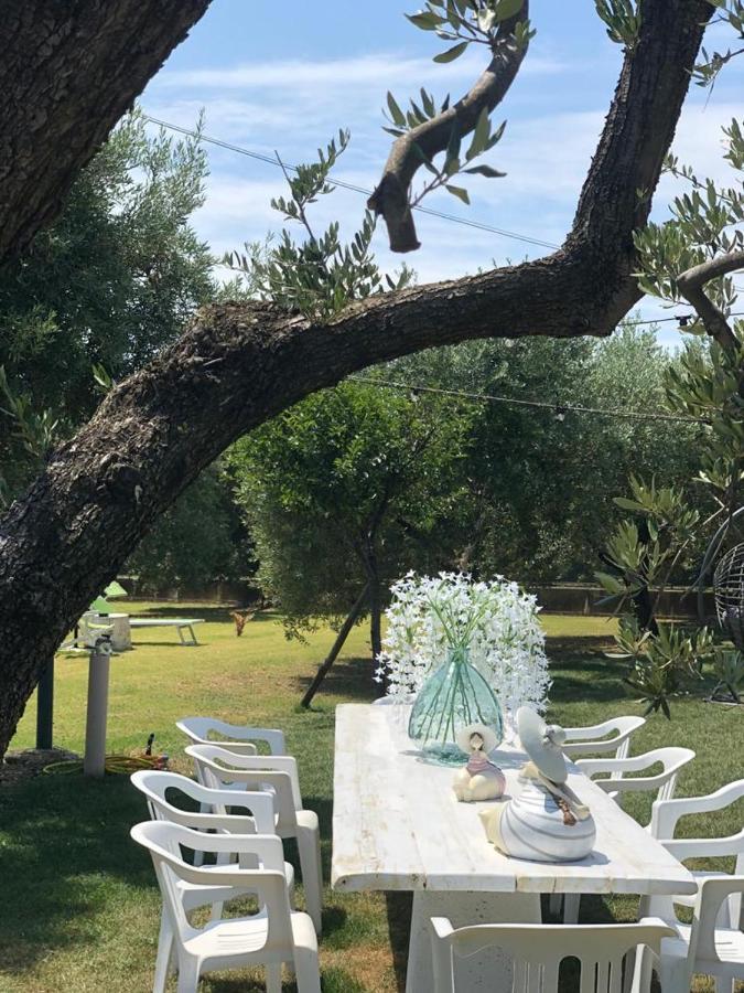 Pensione Degli Ulivi Porto SantʼElpidio Exteriör bild