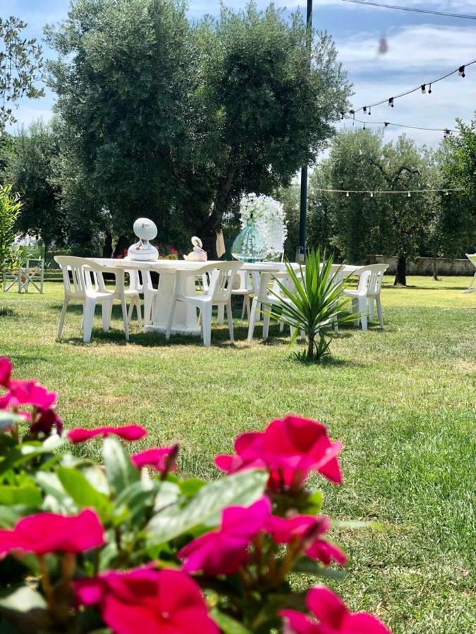 Pensione Degli Ulivi Porto SantʼElpidio Exteriör bild