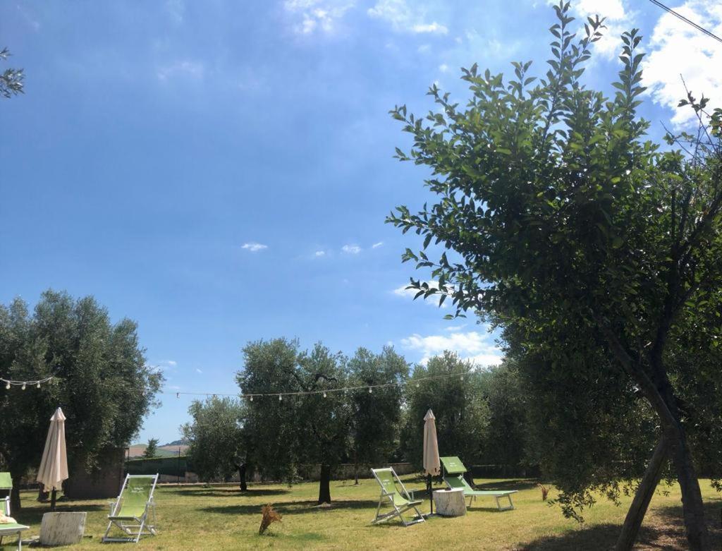 Pensione Degli Ulivi Porto SantʼElpidio Exteriör bild