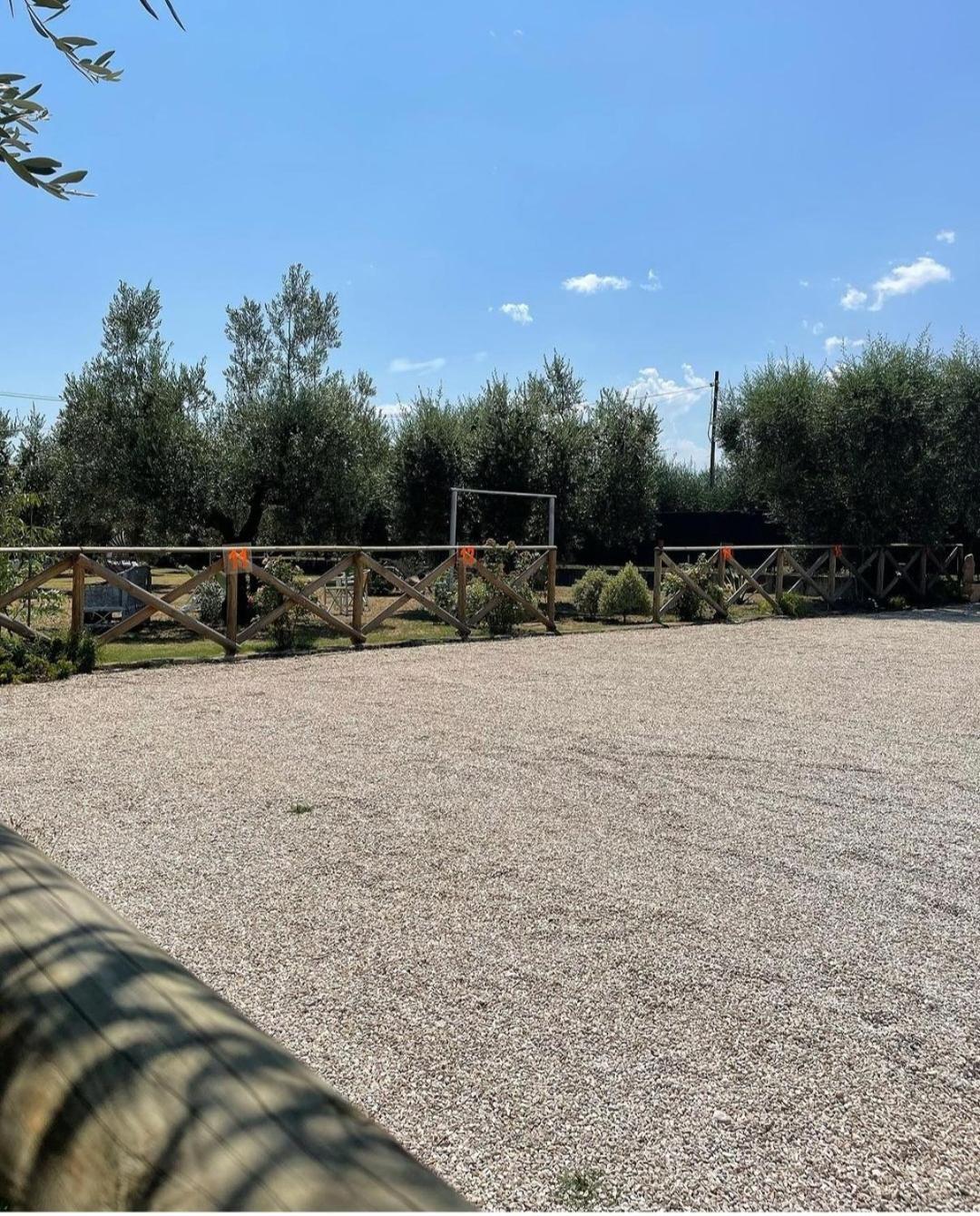 Pensione Degli Ulivi Porto SantʼElpidio Exteriör bild
