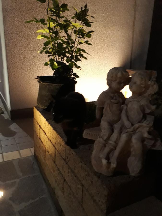 Pensione Degli Ulivi Porto SantʼElpidio Exteriör bild